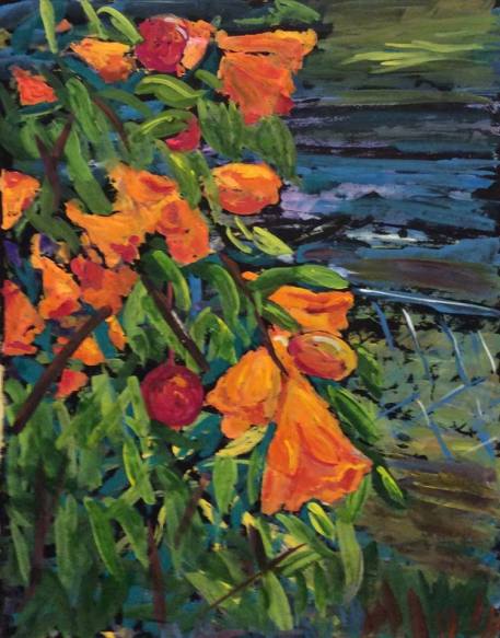 18893003_10213371252498550_8399107332199210139_n